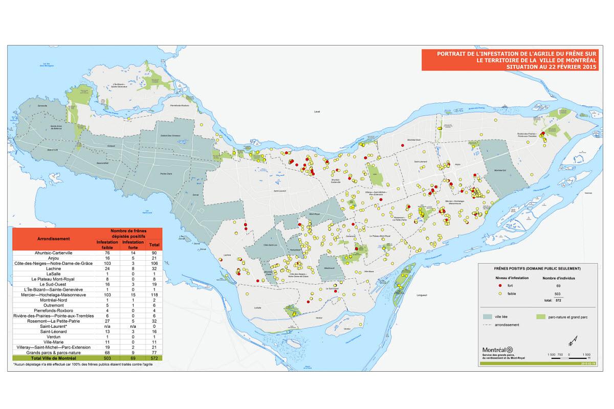 Plus de 12,9 M$ pour la forêt urbaine 2015 à Montréal