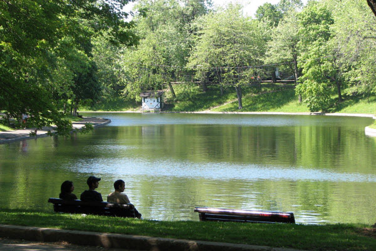 L’étang du parc La Fontaine se refait une beauté