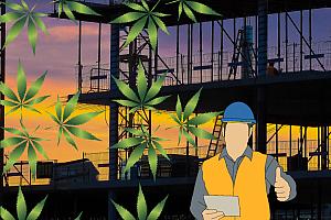 Les usines de cannabis s’implantent au Québec