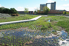 De vastes bassins ornementaux peu profonds exposent un maximum de surface pour dissiper l’eau. Photo de AXOR