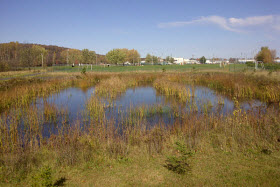La firme exp et la ville de Lac-Brome ont remporté un prix pour la confection d'un plan directeur pour contrer les apports d'éléments nutritifs dans les eaux du lac Brome.