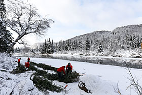 Une estacade en sapin pour contrer les inondations. Photo : Thomas Simard-Robitaille, Université Laval