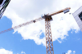 Grue - Photo René-Claude Sénécal