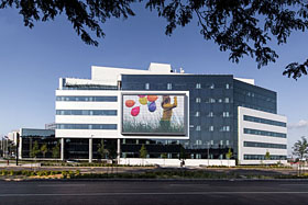 Ibghy pour le projet Hôpital Shriners pour enfants - Photo de David Dworkind