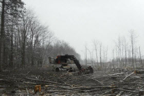 Les travaux d'aménagement du terrain de l'aérodrome privé avaient déjà débuté en 2016. - Photo de Ville de Mascouche