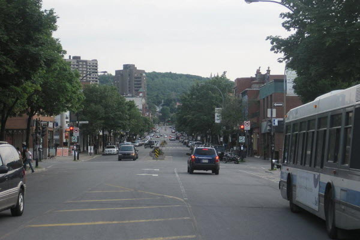 Aménagement de l'avenue Laurier : concertation avec l'arrondissement