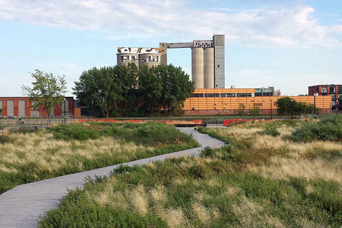 Bassins du Nouveau Havre : biorétention à l’échelle urbaine