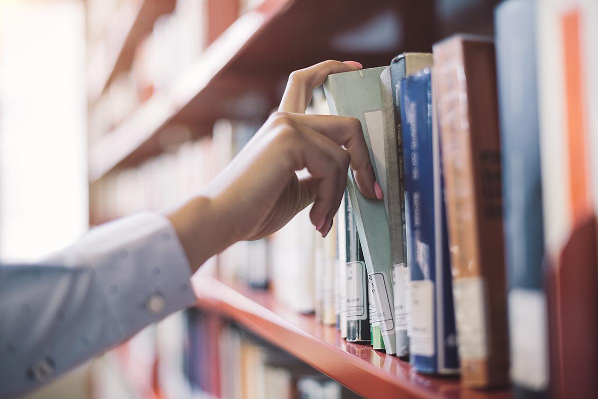 Construction d’une nouvelle bibliothèque à Windsor