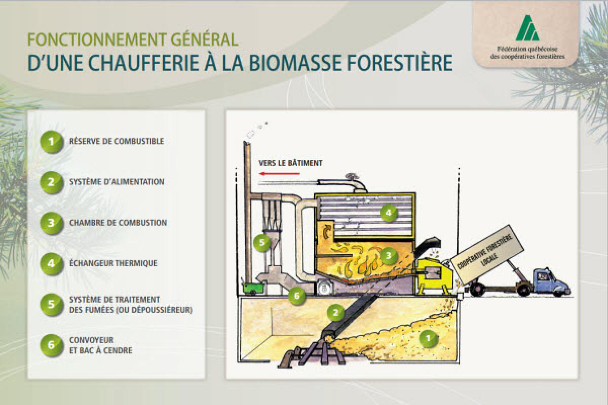 Les Entreprises Claudelaine adoptent la biomasse forestière