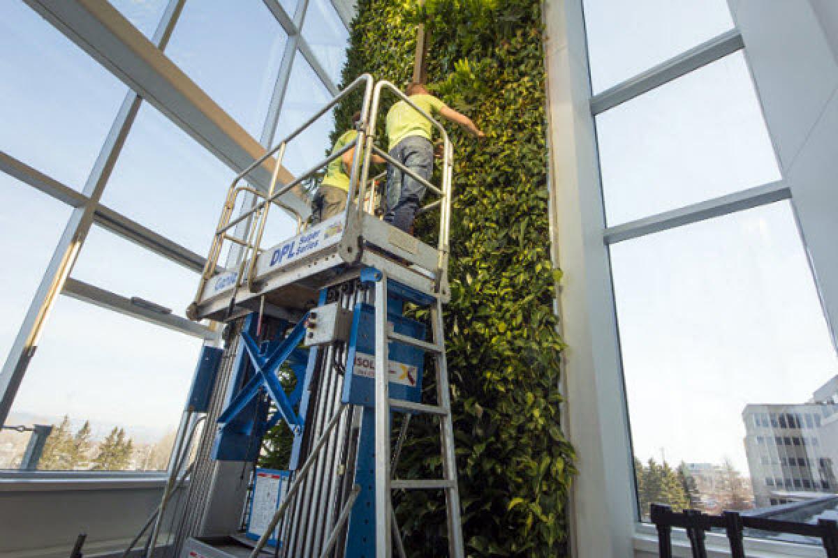 Desjardins dévoile le plus haut mur végétal intérieur au monde