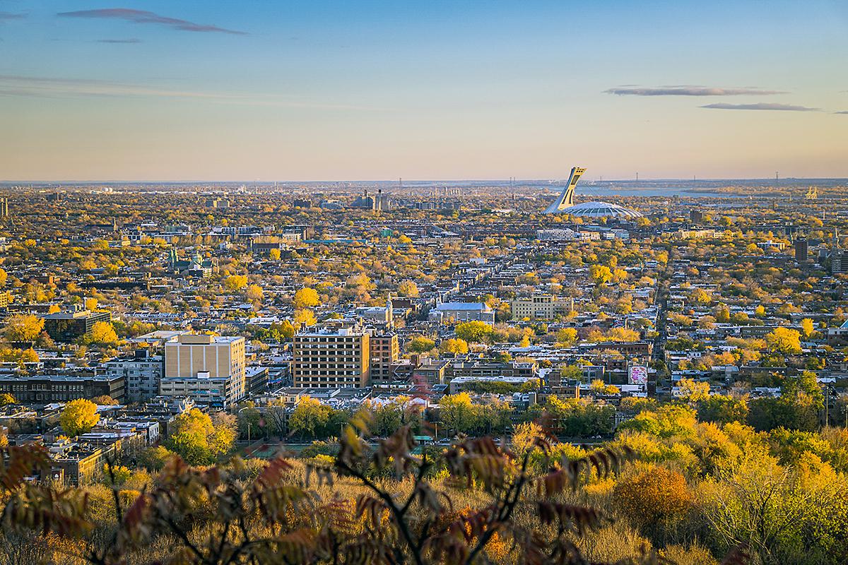 Trois projets de revitalisation dans l'est de Montréal