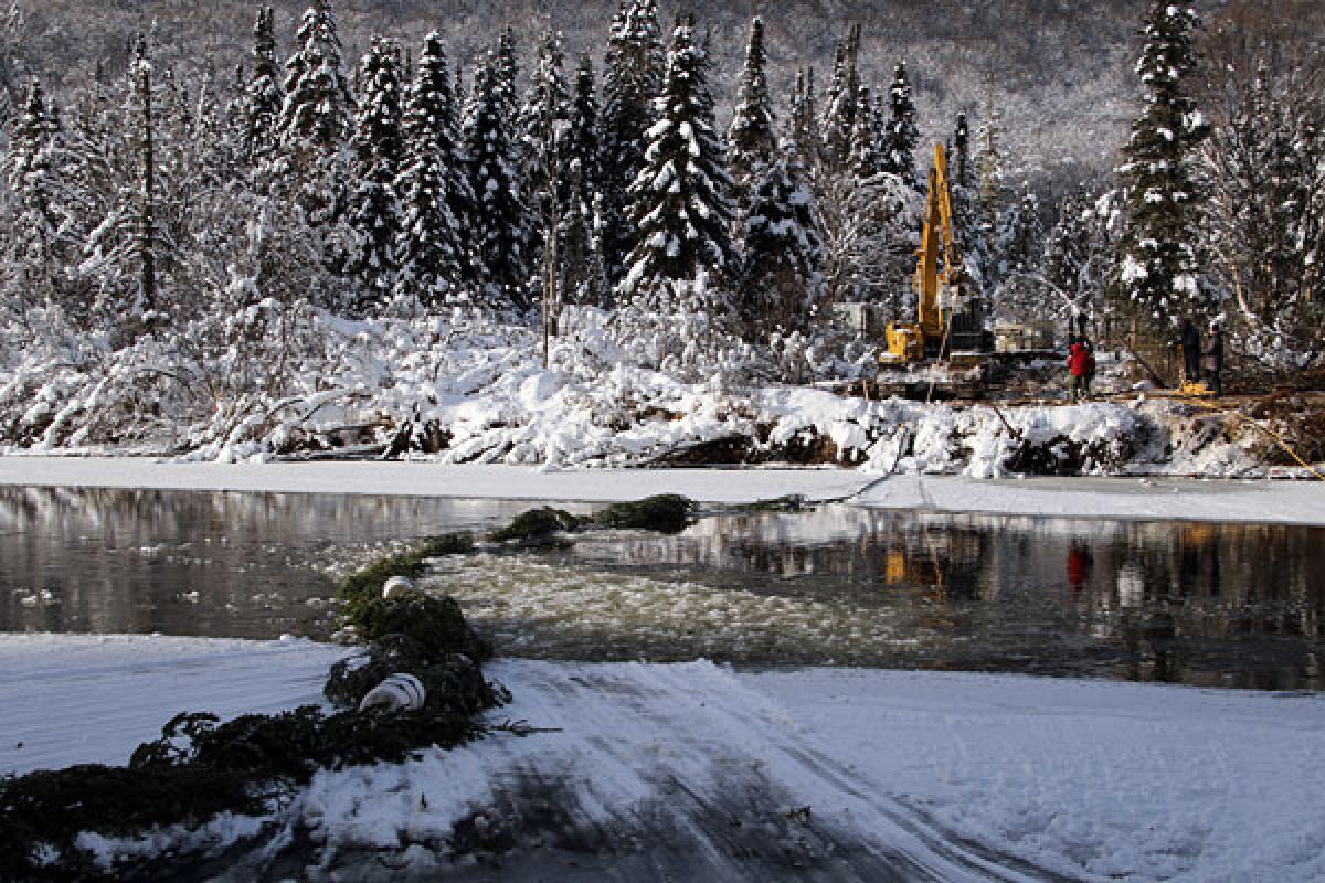 Une estacade en sapin pour contrer les inondations