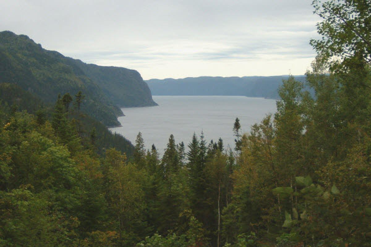 L'Agence canadienne d'évaluation environnementale réalise présentement une évalu