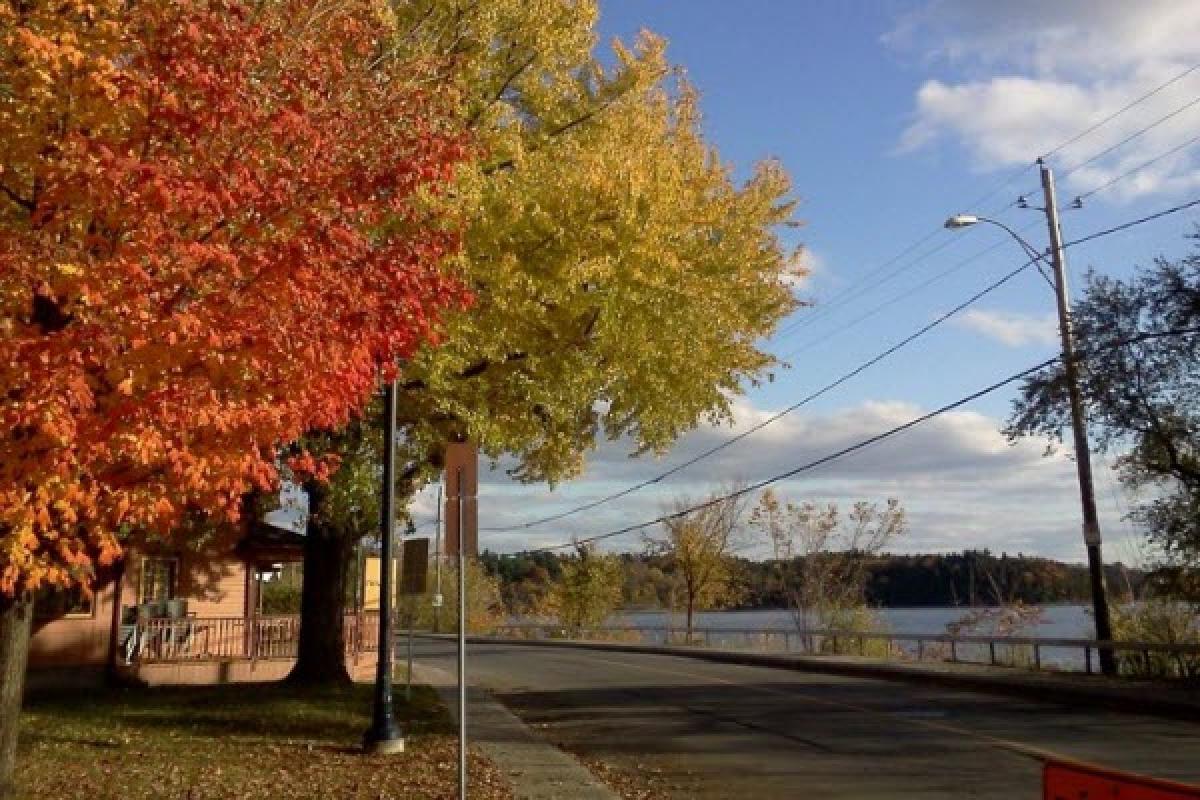 Gatineau publie l'appel d'offres pour l'aménagement de la rue Jacques-Cartier