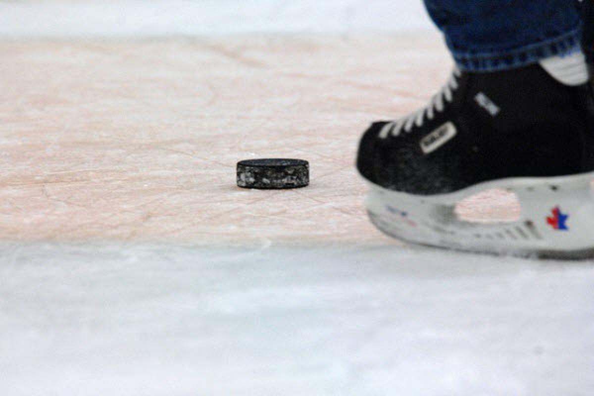 Le bâtiment sera doté de deux patinoires intérieures.