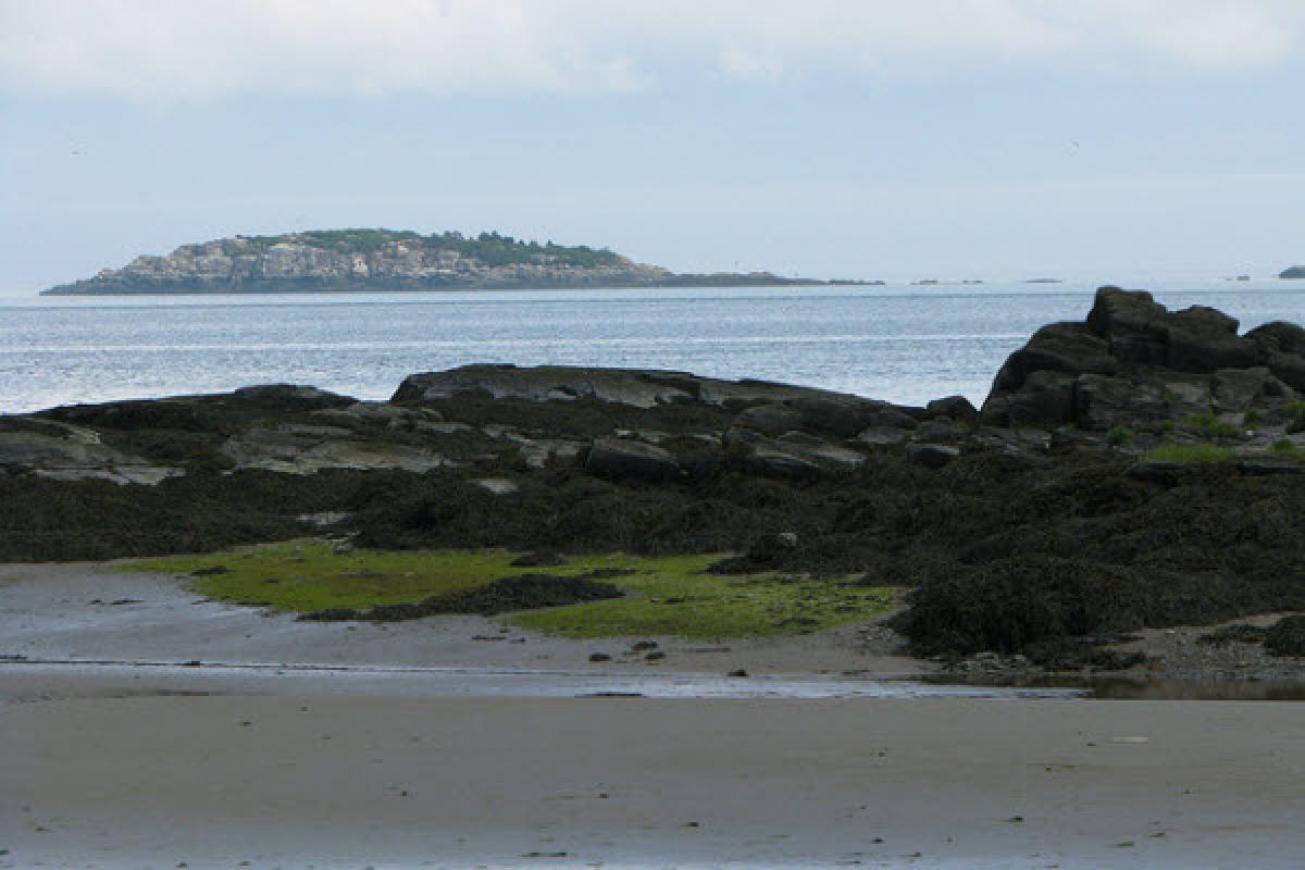 Développement touristique de l'île aux Lièvres