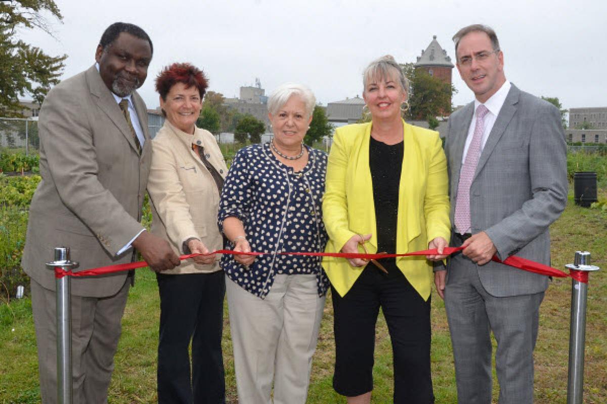 Un nouveau jardin communautaire dans Mercier-Hochelaga-Maisonneuve