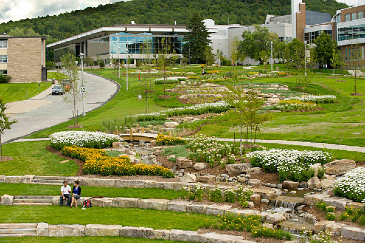 Le jardin de pluie. Photo : Université de Sherbrooke