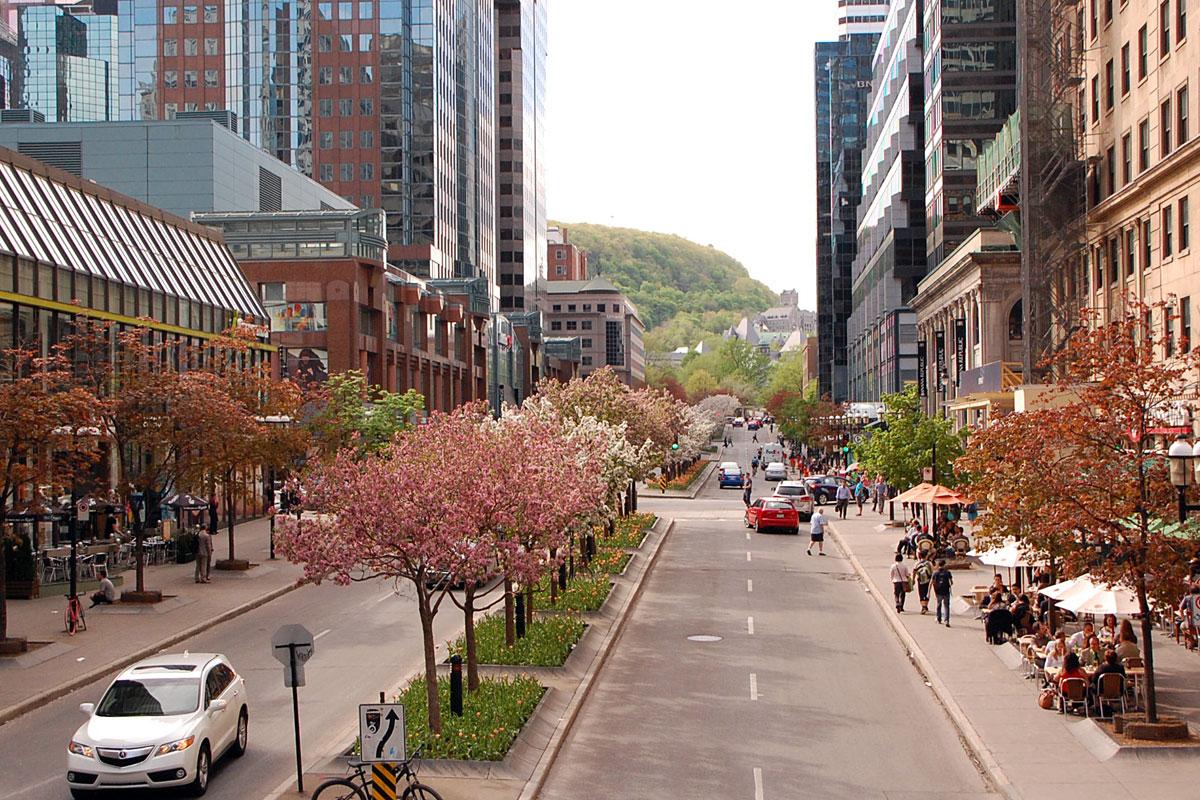 Lancement du concours McGill College : l’avenue réinventée. Photo : Alexandre Paré