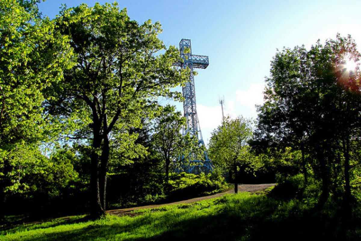 Actes du Sommet du Mont-Royal 2013 : bilan et perspectives d'avenir