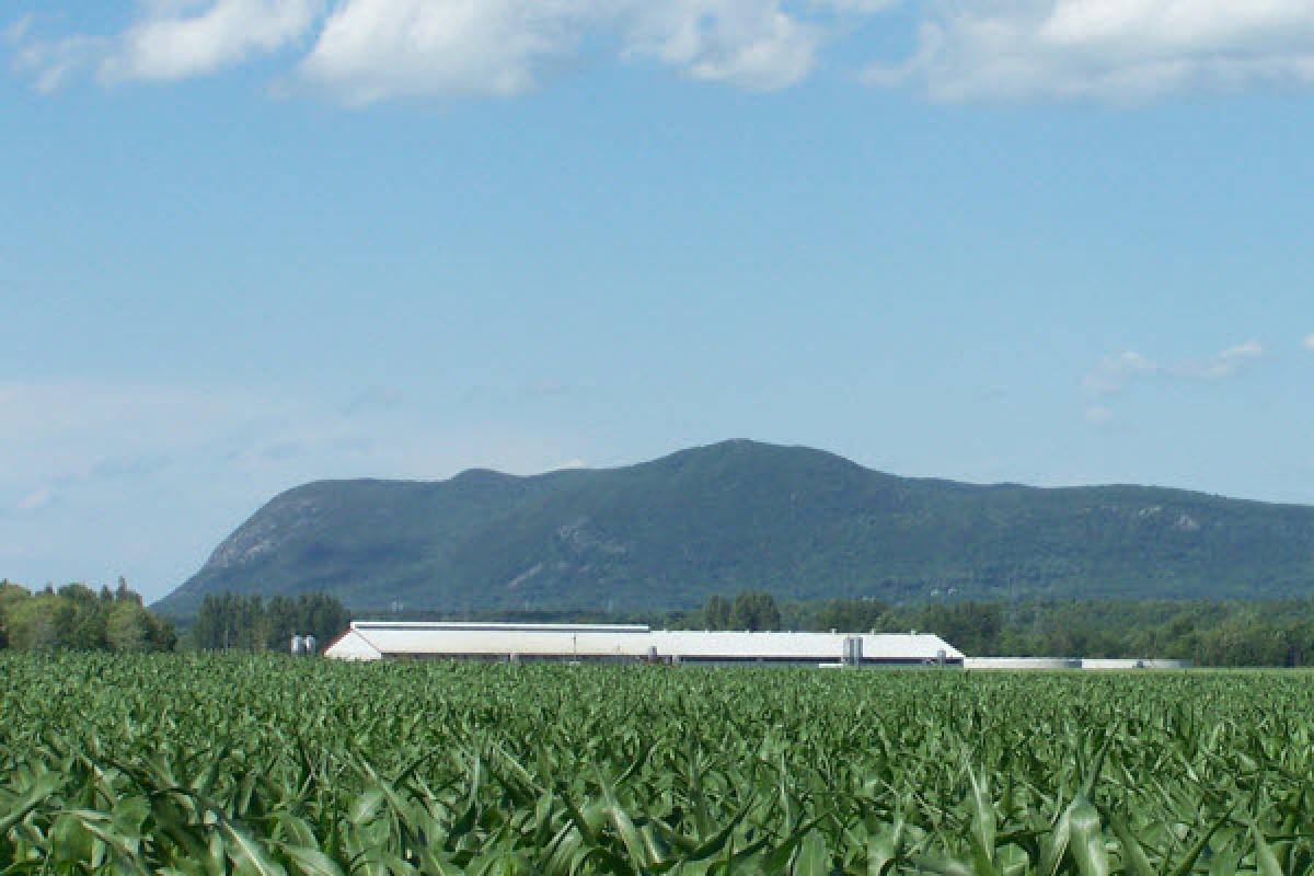 De nouveaux aménagements au Centre de la Nature du mont Saint-Hilaire