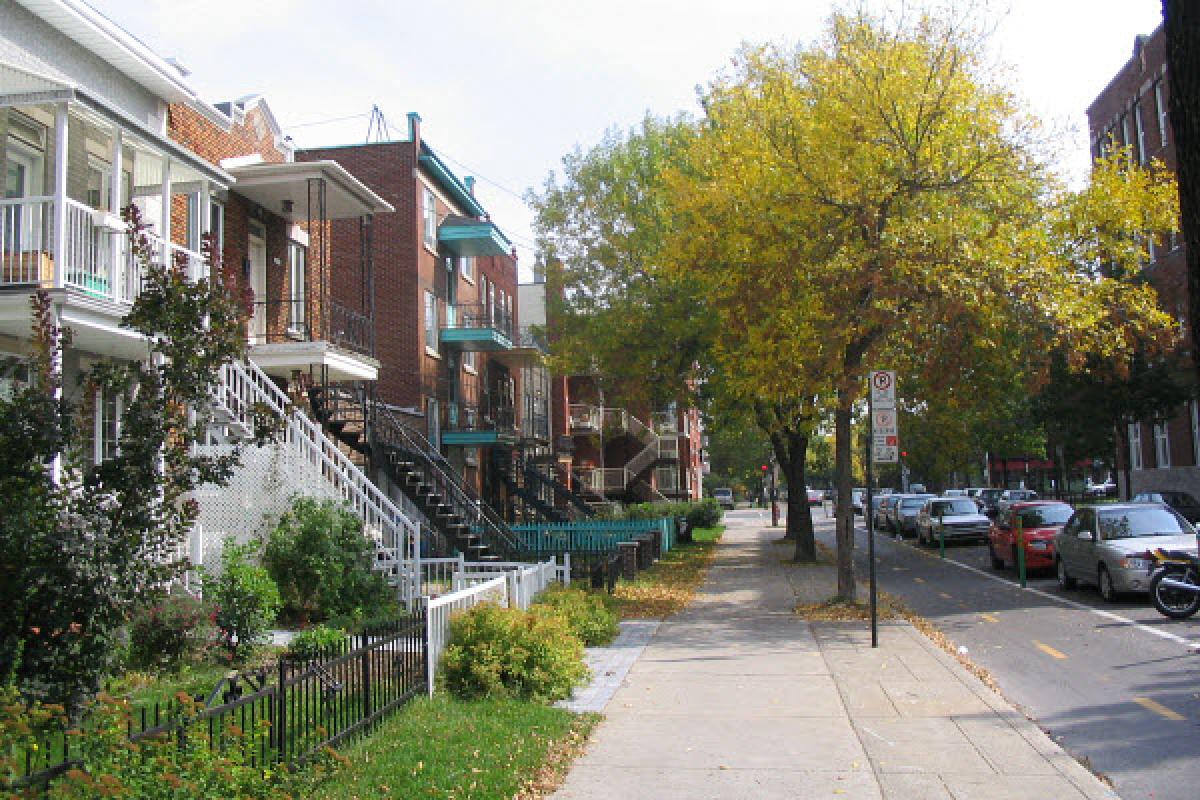 Réfection et reconstruction des trottoirs dans Villeray - Cols bleus au travail