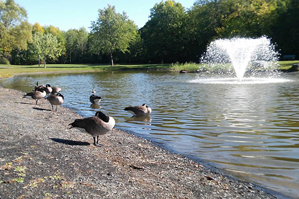 Revitalisation du parc Michel-Chartrand