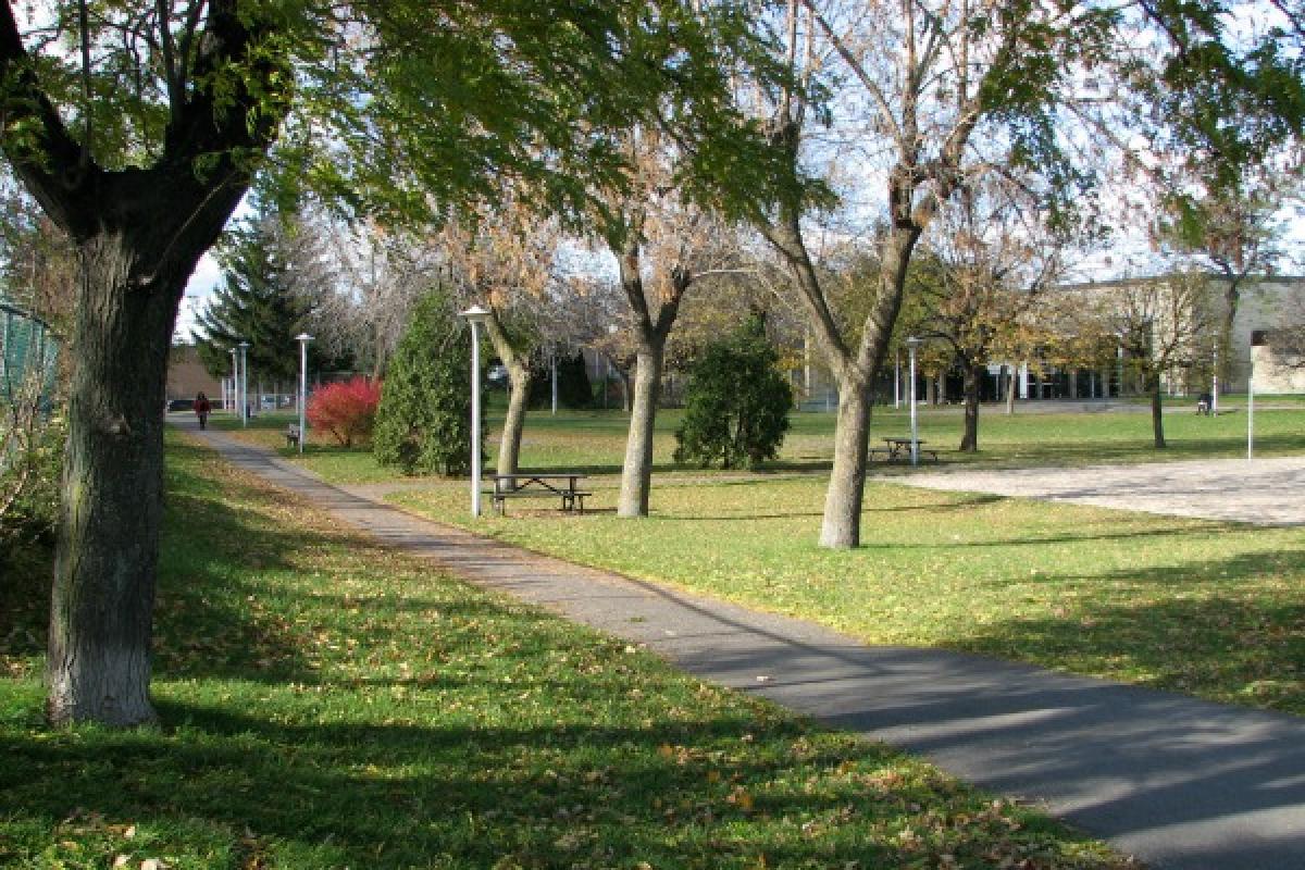 Le maire de l'arrondissement de Rosemont–La-Petite-Patrie, François William Crot