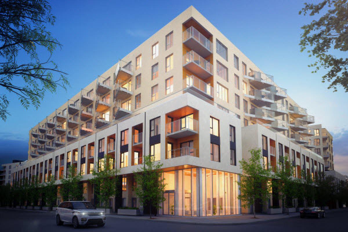 Le projet Arbora progresse