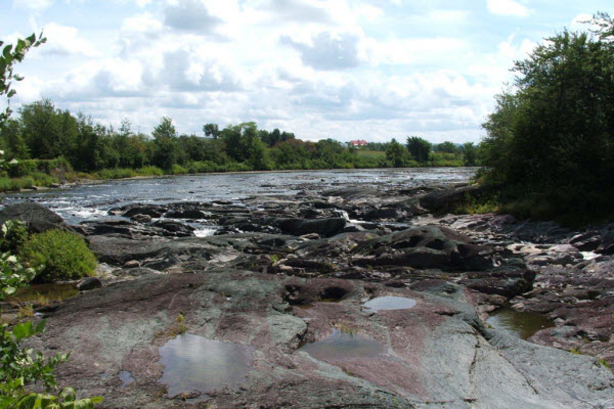 Travaux dans les grands parcs de Lévis