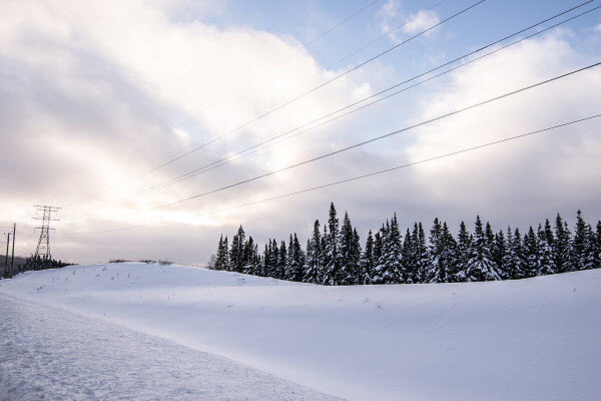 De nouveaux chalets dans la réserve faunique des Laurentides