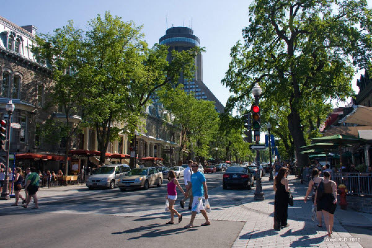 Réfection de la Grande Allée : un chantier complexe et nécessaire
