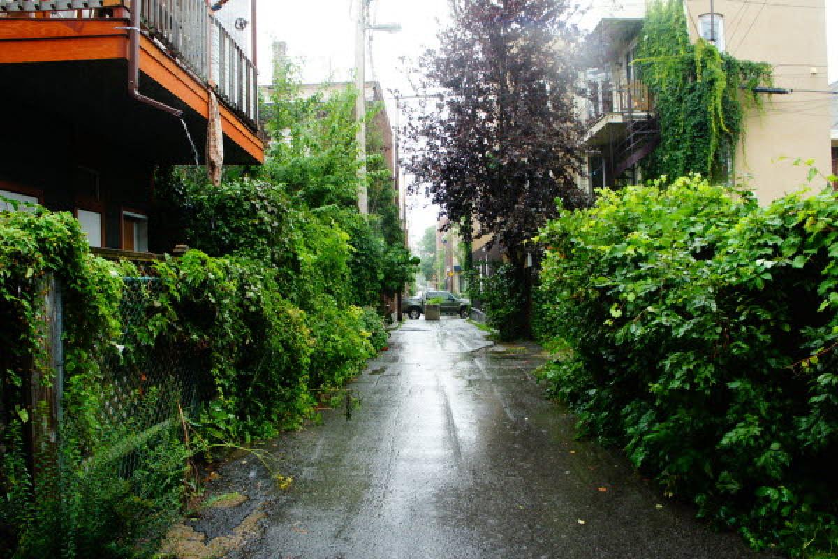 Le Plateau-Mont-Royal s'engage pour le développement durable