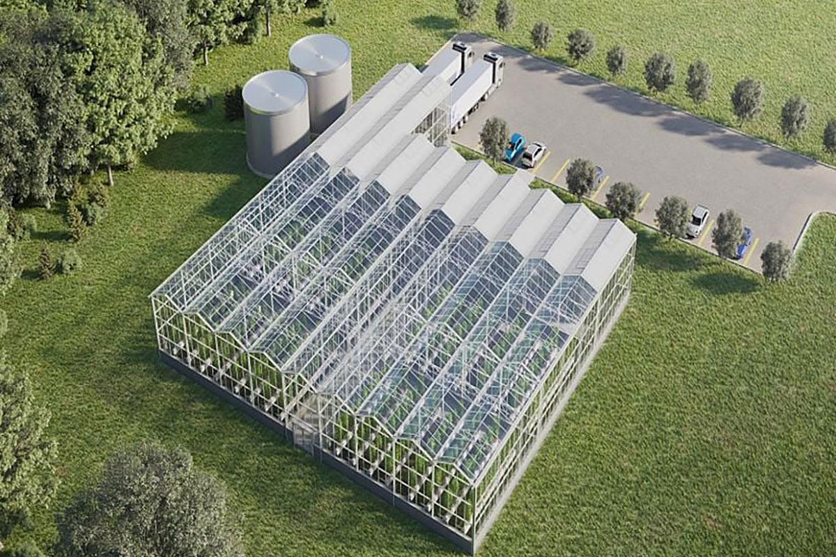Université Laval : un appel d’offres lancé pour le complexe de serres Innovaserres. Crédit : Université Laval
