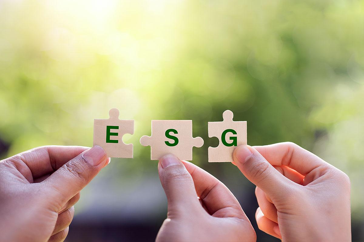 Comment développer une stratégie ESG 