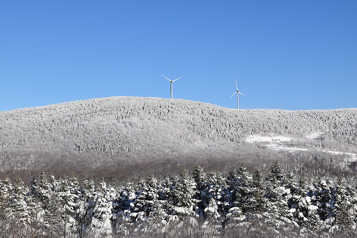 Trois nouveaux parcs éoliens autorisés au Québec