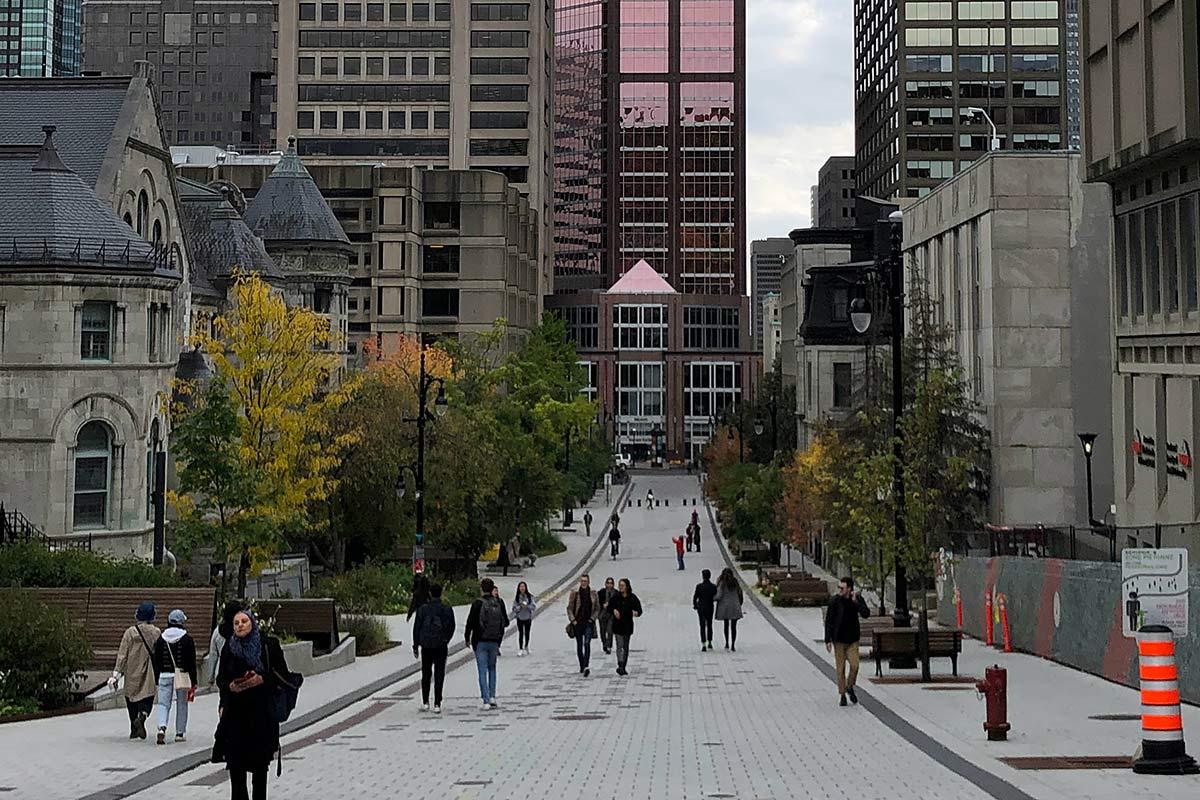 L'Université McGill annonce a création de l'Institut de recherche Sylvan Adams. Crédit : Alessio Patron (Unsplash) en sciences du sport de la Faculté des sciences de l'éducation.  