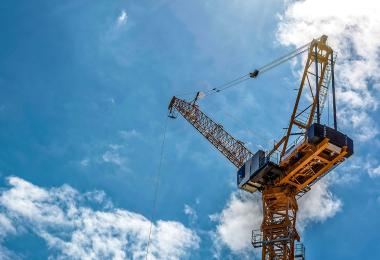 Grues : une expertise à développer