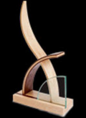 Trophée Cecobois 2011