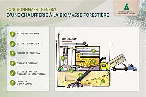 Fonctionnement général d’une chaufferie à la biomasse forestière.