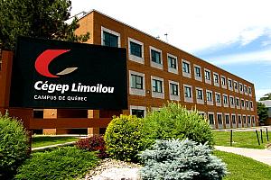 Les cégeps Limoilou et du Vieux Montréal lancent un programme en BIM