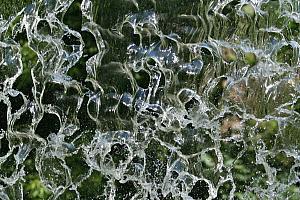 Un projet de règlement pour la protection des sources d'eau potable