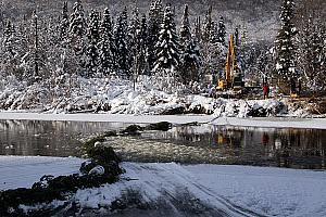 Une estacade en sapin pour contrer les inondations