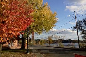 Gatineau publie l'appel d'offres pour l'aménagement de la rue Jacques-Cartier