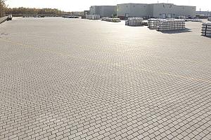 Aires de stationnement plus vertes – Rosemont bonifie sa réglementation