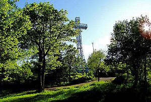 Actes du Sommet du Mont-Royal 2013 : bilan et perspectives d'avenir
