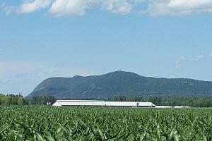 De nouveaux aménagements au Centre de la Nature du mont Saint-Hilaire