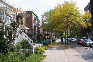 Réfection et reconstruction des trottoirs dans Villeray - Cols bleus au travail