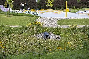 Création d'une noue de biorétention au parc Honoré-Mercier. Crédit : Arrondissement de Mercier - Hochelaga-Maisonneuve