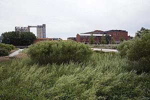 Le parc s'étend sur un vaste terrain de 9,6 hectares 